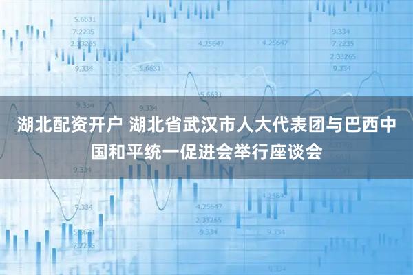 湖北配资开户 湖北省武汉市人大代表团与巴西中国和平统一促进会举行座谈会