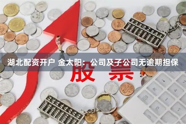 湖北配资开户 金太阳：公司及子公司无逾期担保
