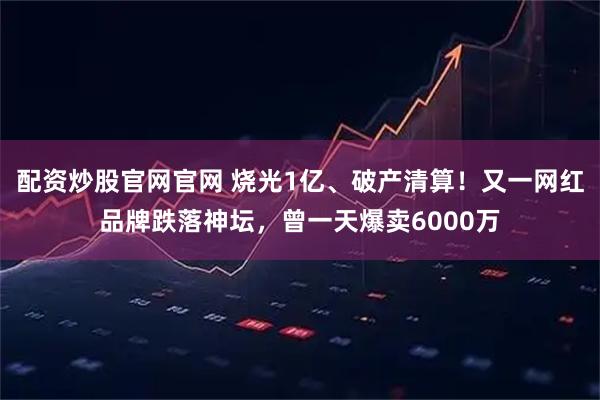 配资炒股官网官网 烧光1亿、破产清算！又一网红品牌跌落神坛，曾一天爆卖6000万