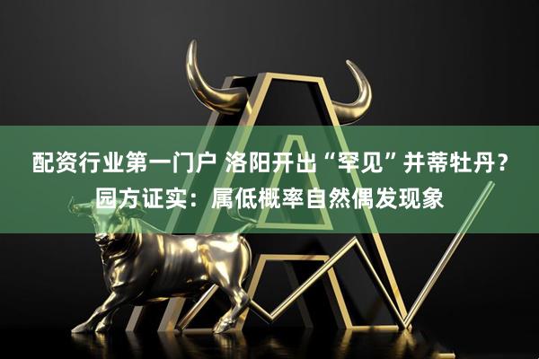 配资行业第一门户 洛阳开出“罕见”并蒂牡丹？园方证实：属低概率自然偶发现象